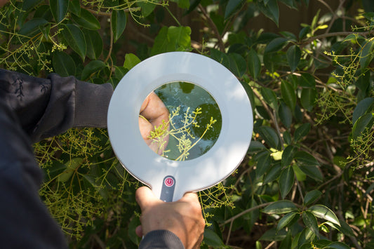 ML219 Australian-Made Handheld Magnifying Lamp